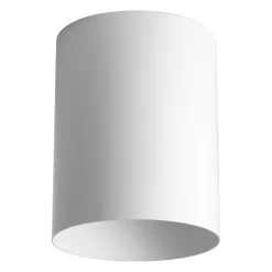 Outdoor Flush Mount Cylinder Ceiling Light -Fashion Lighting 1032959