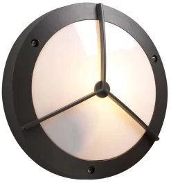 Cassandra Outdoor Wall Sconce / Ceiling Light Fixture