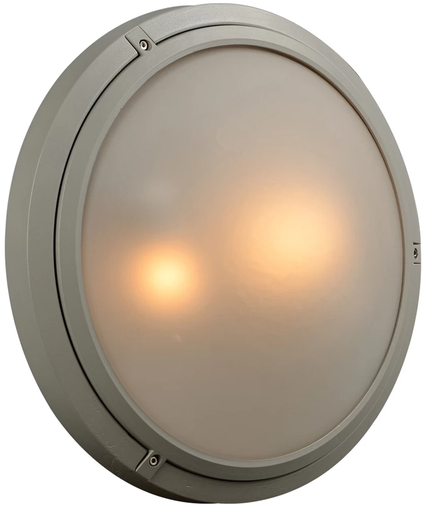 Ricci II Outdoor Wall / Ceiling Light Fixture 1 Ricci II Outdoor Wall / Ceiling Light Fixture