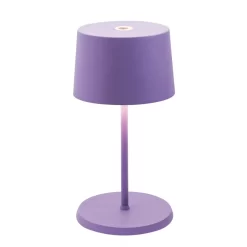 Olivia Pro Mini Cordless Table Lamp -Fashion Lighting 1195177