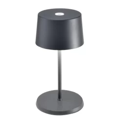 Olivia Pro Mini Cordless Table Lamp -Fashion Lighting 1195178