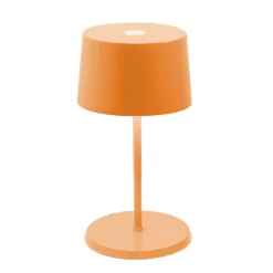Olivia Pro Mini Cordless Table Lamp -Fashion Lighting 1195181