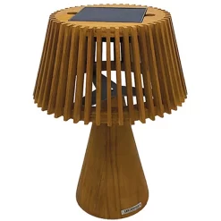 Enoki Outdoor Solar Portable Table Lamp -Fashion Lighting 1198960