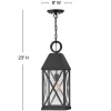 Briar Outdoor Pendant