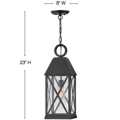 Briar Outdoor Pendant