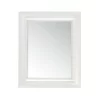 Kartell Francois Ghost Wall Mirror