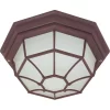 Caged Outdoor Ceiling Flush Mount