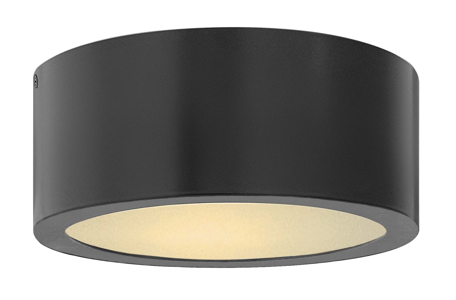 Luna LED Outdoor Ceiling Light Fixture 2 Luna LED Outdoor Ceiling Light Fixture - Image 2