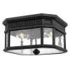 Cotswold Lane Outdoor Ceiling Light Fixture