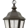 Edgewater 120V Outdoor Pendant