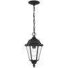 Bakersville Outdoor Pendant
