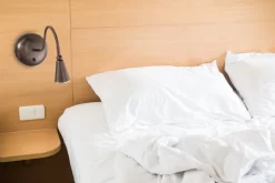 LED Gooseneck Wall Light