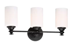 Dardyn Bathroom Vanity Light