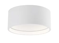 Trenton Outdoor Ceiling Light Fixture -Fashion Lighting 813358