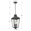 Dumont Outdoor Chandelier
