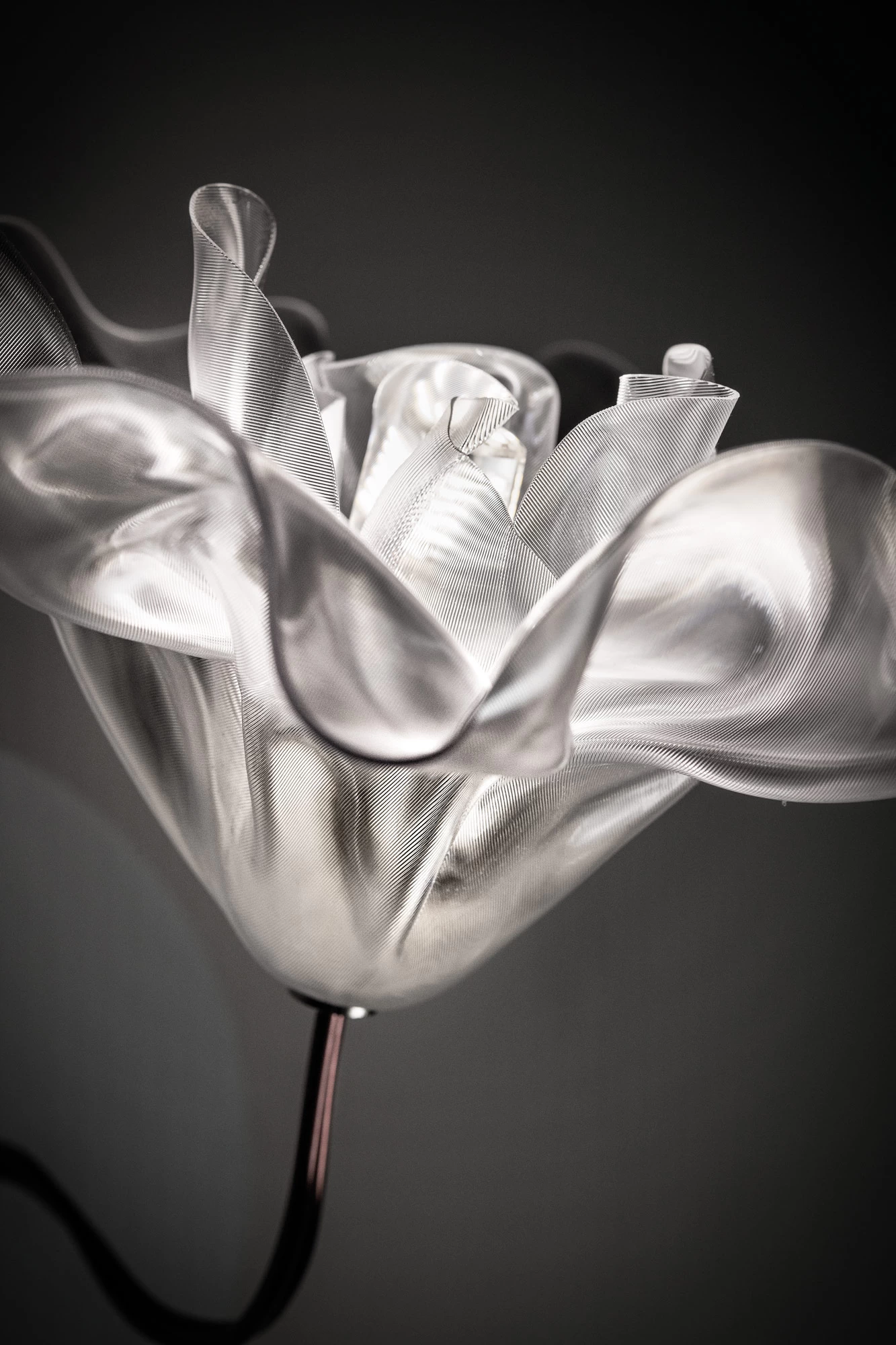 Lafleur Wall Sconce 7 Lafleur Wall Sconce - Image 7