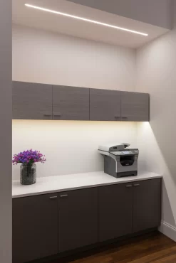 TruLine .5A 5W 24VDC Plaster-In LED System 12 TruLine .5A 5W 24VDC Plaster-In LED System -Fashion Lighting PE TL5A PLASTERIN SYSTEM APP2