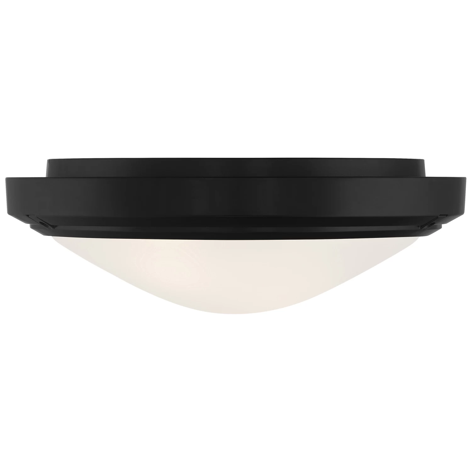 Oceanus Outdoor Ceiling Light Fixture 4 Oceanus Outdoor Ceiling Light Fixture - Image 4