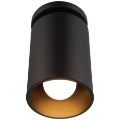 Pint Dark Sky Outdoor Ceiling Light Fixture -Fashion Lighting acc 29004LEDDMGLP MBL 04