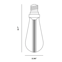 Buster Edison A-Type Med Base 5W 120V Dimmable Bulb