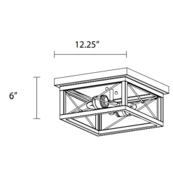County Fair Outdoor 2Lt Ceiling Light Fixture