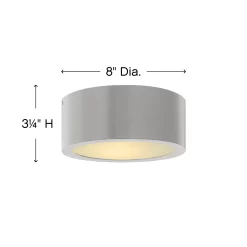Luna LED Outdoor Ceiling Light Fixture