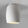 Radiance Curved Outdoor Ceiling Light Fixture