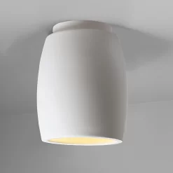Radiance Curved Outdoor Ceiling Light Fixture