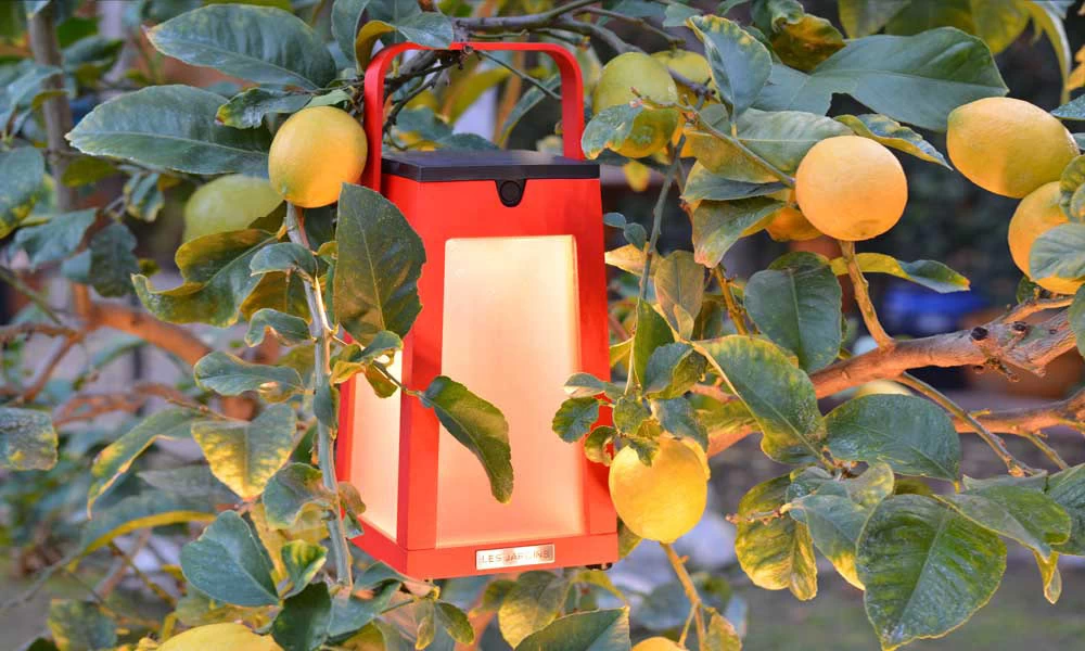 Tinka Outdoor Solar Lantern 4 Tinka Outdoor Solar Lantern - Image 4