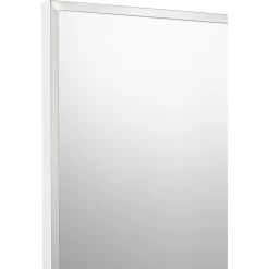 Lockport Mirror