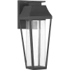 Brookline Outdoor Wall Sconce