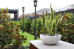 Z-LIte Jordan 557 Outdoor Pole Light -Fashion Lighting zlt jordan557pole out2